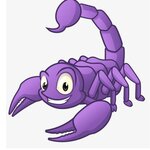 Scorpion