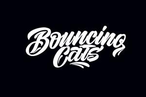 Фотография Bouncing Cats 0