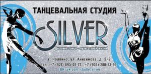 Фотография Silver 2