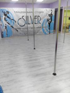 Фотография Silver 0