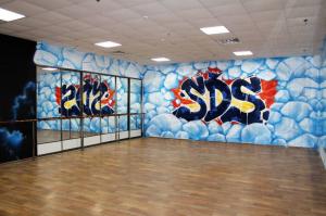 Фотография SPB Dance Studio 0