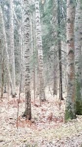 Фотография Экспрессия 4