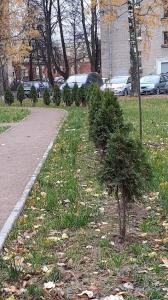 Фотография Экспрессия 2