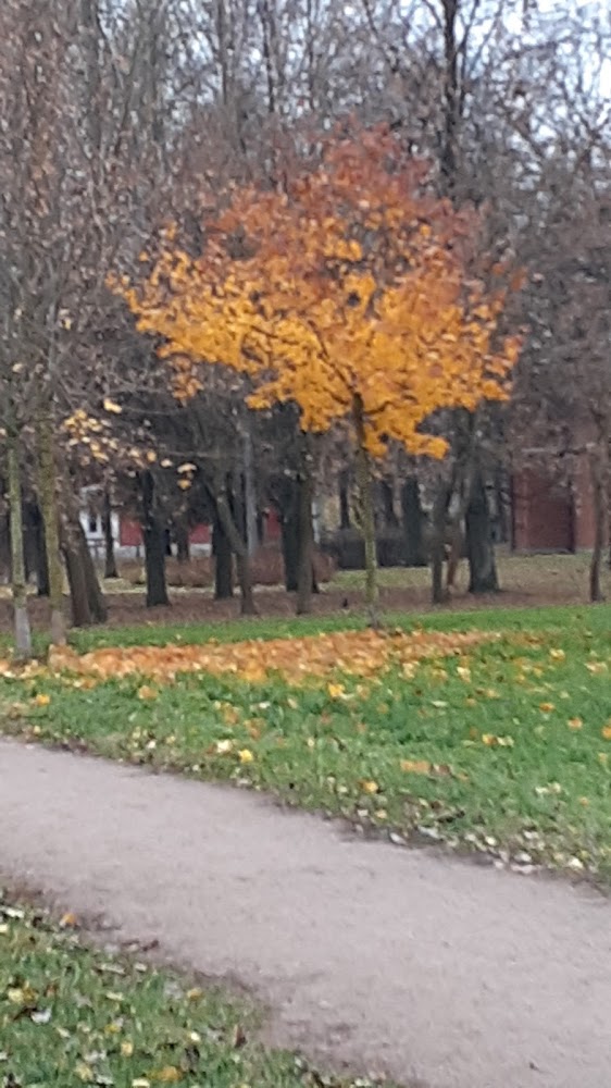 слайд